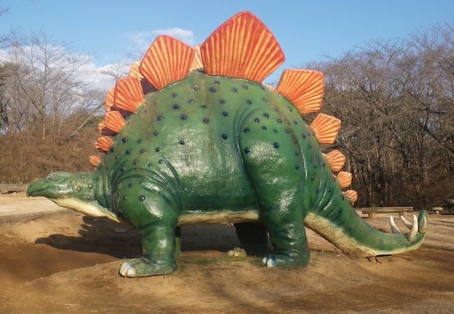 🌳 미토시 삼림공원(미토시 신린코엔) 이미지 1